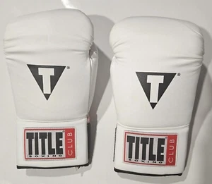 TITEL Boxclub Boxhandschuhe gebraucht Original Boxen Top Zustand - Bild 1 von 6