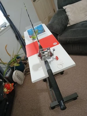 Caña de pescar de arrastre Zebco Big Cat 7' MH 8-17 lb y carrete Penn Peer 209 Foto 1 de 4