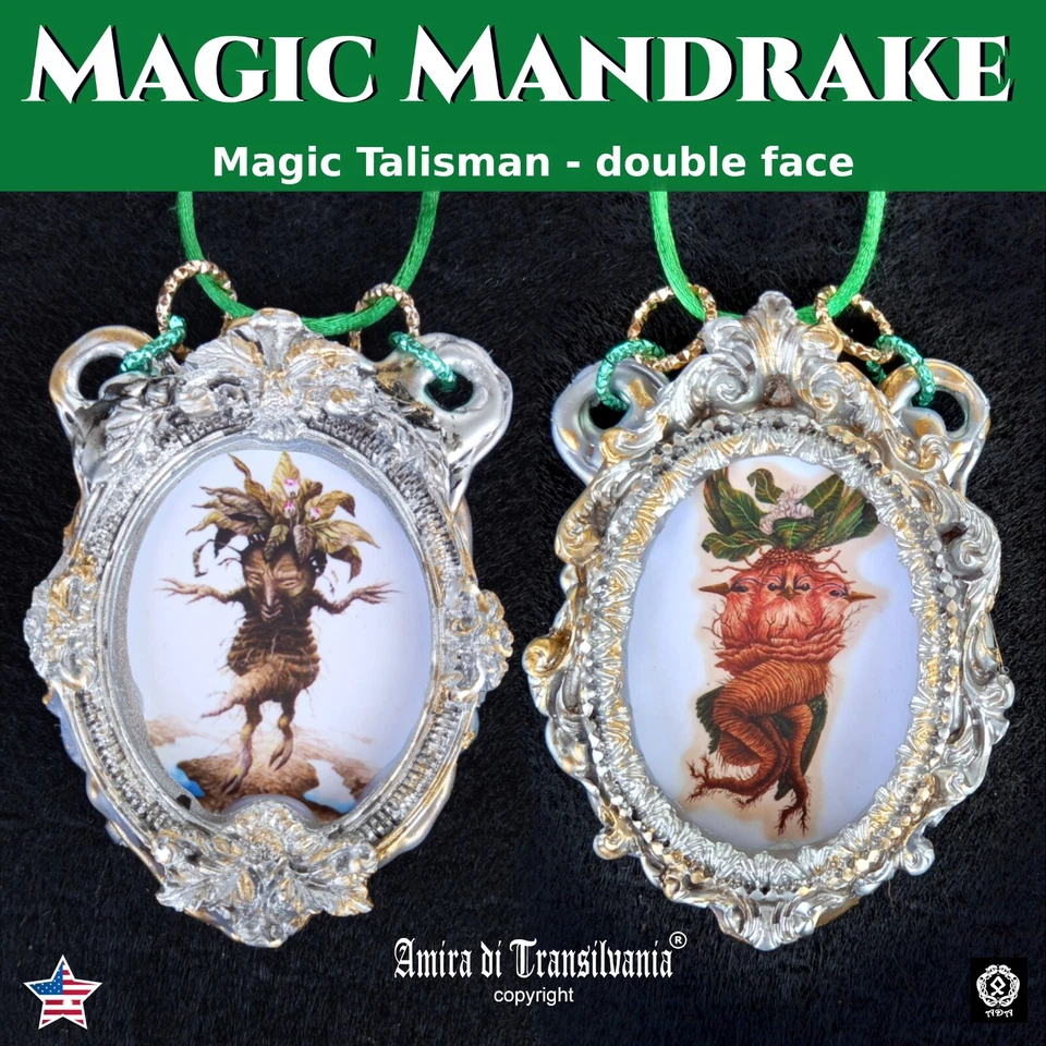 mandrágora mandrágora talismán de la suerte buena suerte atracción fortuna dinero riqueza 1  Foto 1 de 4