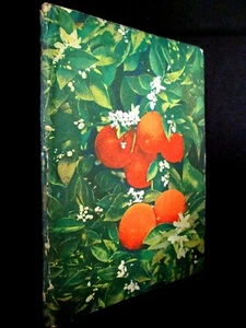 ORANGE naranja Cuisine Cooking Kuche Recette Patisserie Confiture Glace c1930 - Imagen 1 de 1