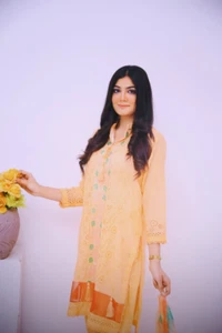 3-teiliger bestickter Anzug Pakistanischer Rasenanzug - Bild 1 von 5