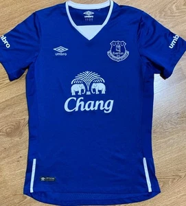Everton 2015-2016 Home Football Shirt Soccer Jersey Size S Adult - Picture 1 of 6