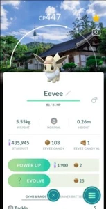 Pokemon Shiny Eevee ( Explorer Hat ) ( Seol Safari Zone ) Go - Picture 1 of 2