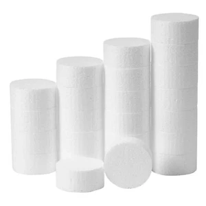 2 Inch 24-Pack Foam Circles for Crafts 1 Inch Thick Foam Discs for DIY Projec... - Picture 1 of 7
