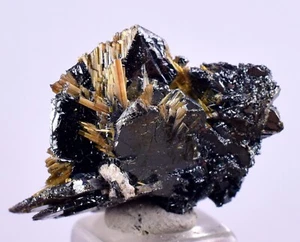 2.5cms RUTILO DORADO HEMATITA SPRAY AGUJAS CRISTALES TITANIO BAHIA BRASIL XB08 - Imagen 1 de 9