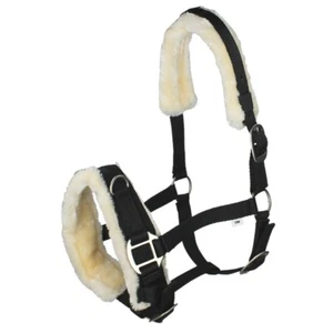 QHP PELZ LUNGE HÖHLE KOPFKRAGEN LUNGE KAVESON HALTER - Bild 1 von 1
