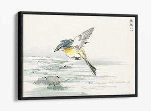 NUMATA KASHU, EASTERN GREY WAGTAIL -FLOAT EFFECT FRAMED CANVAS WALL ART PRINT - Picture 1 of 12