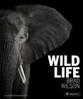 Wild Life: Brad Wilson, Brad Wilson