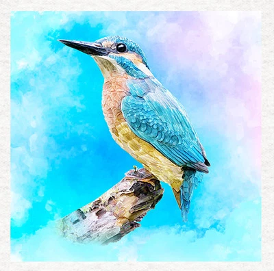 MOONLAKE FABRICS Vogel - Eisvogel - Stoff Bastelpaneele in 100% Baumwolle oder Polyester + Meterware