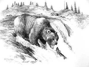 GRIZZLY BEAR fishing Limited Edition Print signed numbered Pencil drawing Nature - Picture 1 of 2