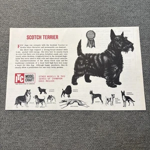 Ideal Model Craft (ITC) SCOTCH TERRIER 1960 Modello 3825 Istruzioni Montaggio - Foto 1 di 3