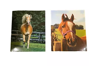 Back 2 School Pocket File Folder; Lot of 2; for 3 ring binder; Horse & Pony; NEW - Picture 1 of 3