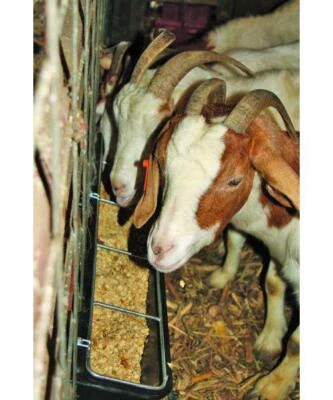 Alimentador de canal Little Giant Hook Over Goat 9 cuartos Foto 1 de 4