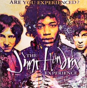 Jimi Hendrix Experience: Are You Experienced? (1993) CD - VERY GOOD Condition - Picture 1 of 2