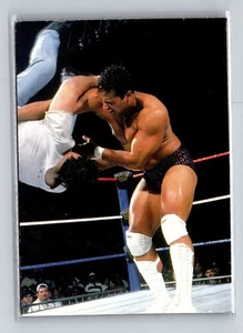 2000 Comic Images WWF Rock Solid #52 Rock vs. Brooklyn Brawler - Picture 1 of 2