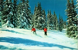 Camisas rojas de esquí alpino nieve Santa Fe postal Nuevo México UNP cromadas - Imagen 1 de 2