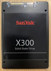 SanDisk SD7SB6S-256G-1122 X300 256GB 2.5" SATA III (6.0Gb/s) Solid State Drive - Picture 1 of 9