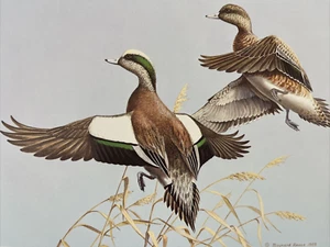 Maynard Reece "1983 Texas Duck Stamp Print" LE Signed Print #5420/7700 - Picture 1 of 4