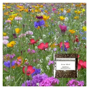Blumenwiese " Wildblumenmischung " Samen von ca.100 - 500 m² versch. Größen - Bild 1 von 1