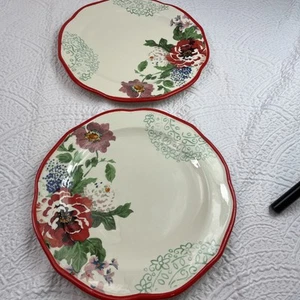 2-10.5” New Pioneer Woman Red Floral Country Garden Dinner Plates Lot - Picture 1 of 7