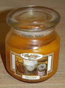 Salt City Candle Company Vanilla Spice Highly Scented 20 oz Lit 90% Full - Picture 1 of 3