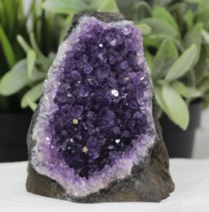 Stunning VERY LARGE Amethyst Cut Base Cluster Crystal Quartz Geode 1.1 - 1.8 lb - Picture 1 of 10