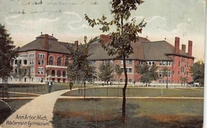 Postal MI: Waterman Gymnasium, UOM, Ann Arbor, Michigan UDB publicada en 1900 - Imagen 1 de 2