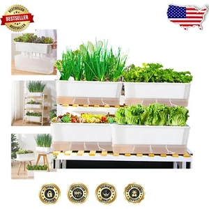Transparent Self-Watering Planter Box Set for Indoor & Outdoor Gardening - 17'' - Picture 1 of 10