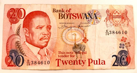 Botswana 20 Pula (1982) Cover