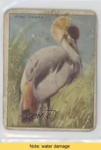 1909-11 Hassan Animals Series Tobacco T29 Hassan Ad Back King Crane READ l7u - Picture 1 of 3