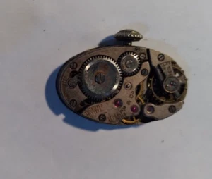 Knapp & Co. Watch movement 15 jewels felsa 66 ?b12#75 - Picture 1 of 4