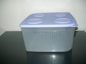 Tupperware Lg Square Fresh 'n Cool Kühlschrank Behälter Heidelbeernebel selten - Bild 1 von 3