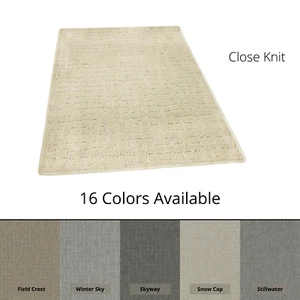 Koeckritz Close Knit Multi-Colored Stylish Indoor Area Rug | Accent Rug Carpet - Picture 1 of 12