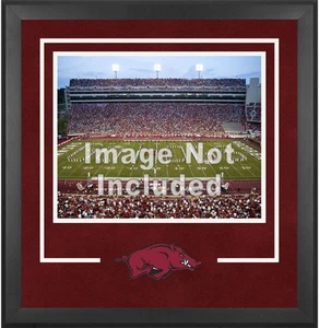 Arkansas Razorbacks Deluxe 16" x 20" Horizontal Photograph Frame with Team Logo - Picture 1 of 1