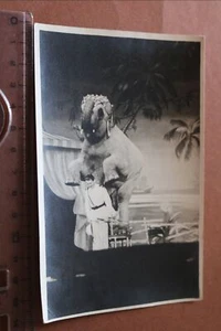 Gran foto antigua - ¿circo? Variedad?? Domador con elefante - Imagen 1 de 3