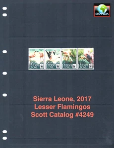 1/3 off $10.50 Scott Value - 2017 SIERRA LEONE Flamingos Birds CV MNH NH UMM - Picture 1 of 4