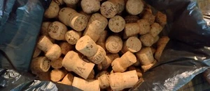 100 Sektkorken für verschiedene Anwendungen(angeln, basteln), naturbelassen, - Bild 1 von 1