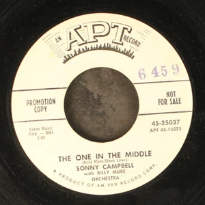 SONNY CAMPBELL: the one in the middle / wicked love APT 7" Single 45 RPM - Picture 1 of 2