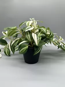 IKEA FEJKA Topfpflanze künstlich drinnen/draußen/Zebrakraut 12 cm - Bild 1 von 4