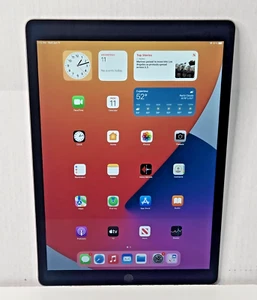 Apple iPad Pro 12,9" 1a generazione A1584 128GB 4GB RAM WIFI solo grigio siderale - Foto 1 di 9