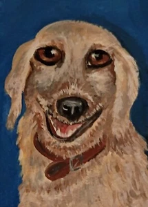 Aceo Golden retriever original acrylic painting - Picture 1 of 1