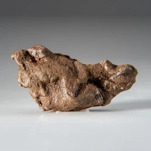 Genuine Gebel Kamil Meteorite from Egypt (46.5 grams) - Picture 1 of 5