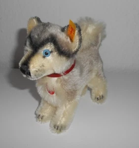 Steiff Whitey Mini Husky Mohair 079689 mit K/F/S - Bild 1 von 2