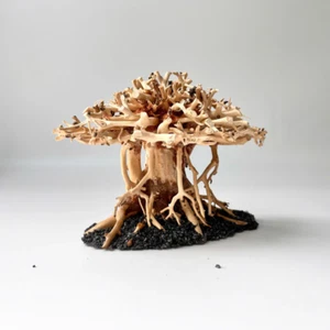 Natural Driftwood for Aquariums – Unique Tree Roots and Trunks – Safe for Fish - Picture 1 of 4