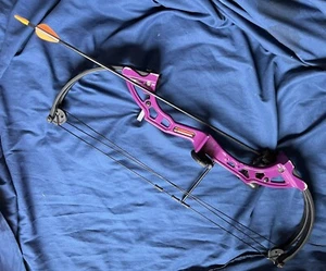 Bear Archery Brave Bow Purple Youth, Rec Ages 8-12 Right Handed Arrow Marker - Picture 1 of 6
