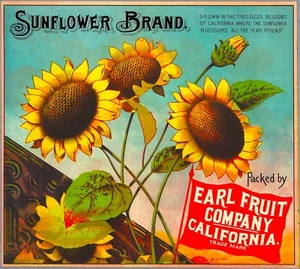 Los Angeles Sunflower Flowers Brand Orange Citrus Fruit Crate Label Art Print - Picture 1 of 1