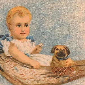 Victorian Card - "Baby / Infant on Hammock with Dog / Puppy" - Picture 1 of 3