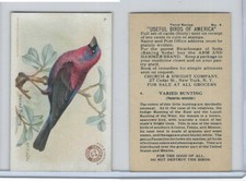 J7, Church & Dwight, Useful Birds America 3rd Ser., 1922, #4 Varied Bunting