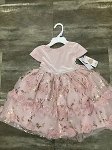 NEW 2T Blueberi Boulevard Toddler Girl Party Dress flowers So Pretty - Picture 1 of 8