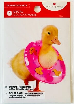 American Greetings Baby Duck at the Pool Beach Swimming Ring Decal Sticker - Image 1 of 2